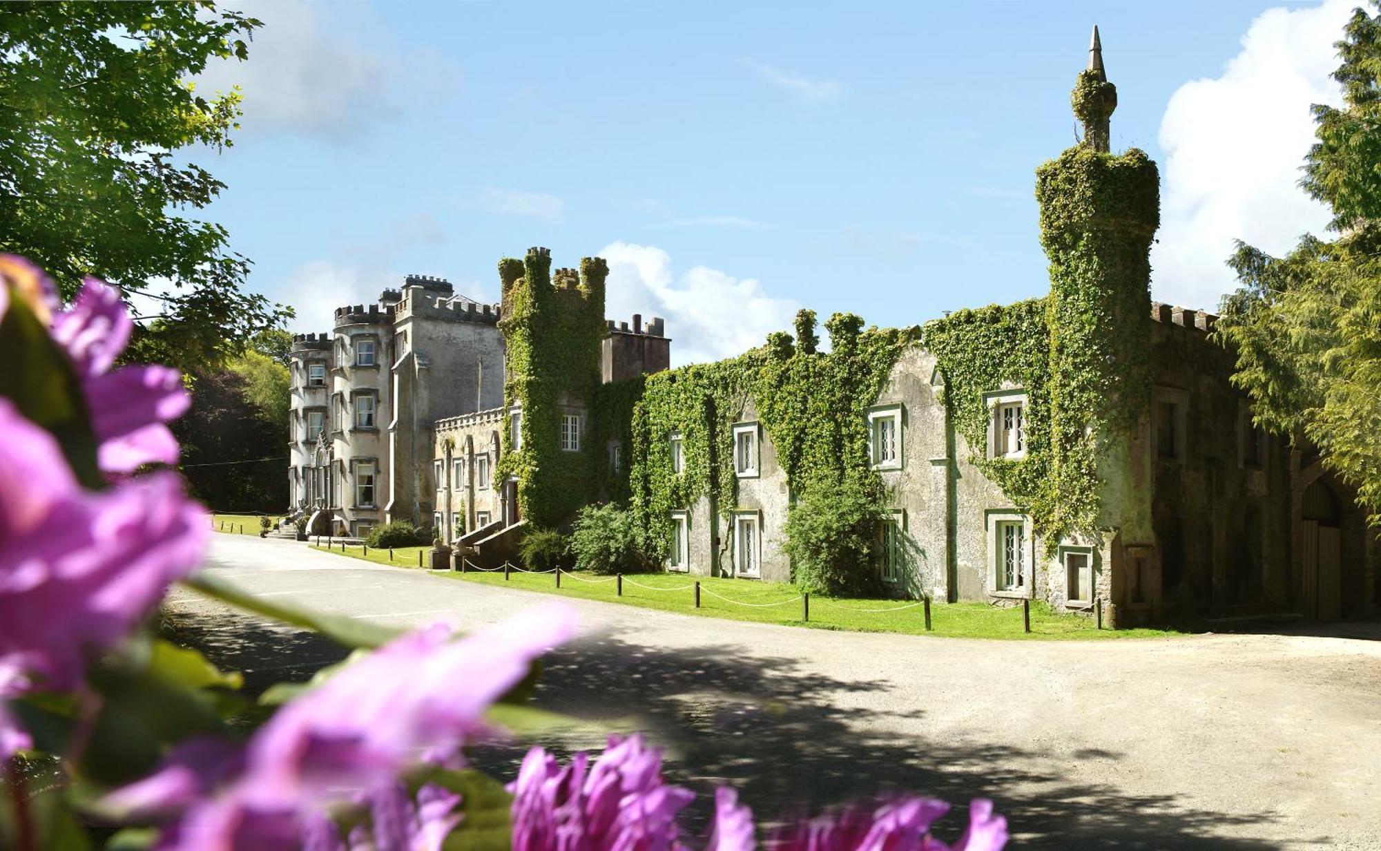 Ballyseede Castle Tralee Kültér fotó